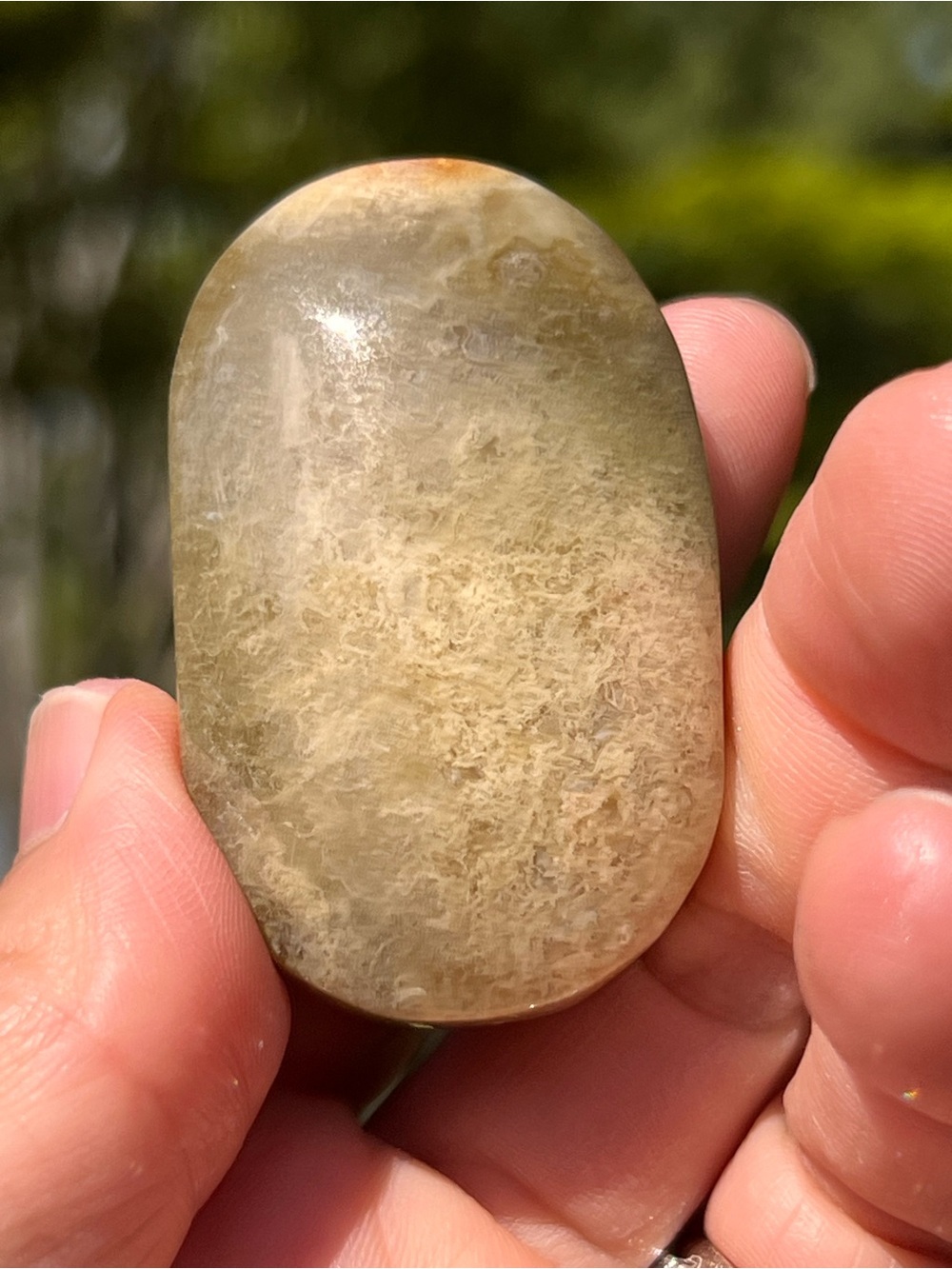 Moss (6) agate palmstone | crystal